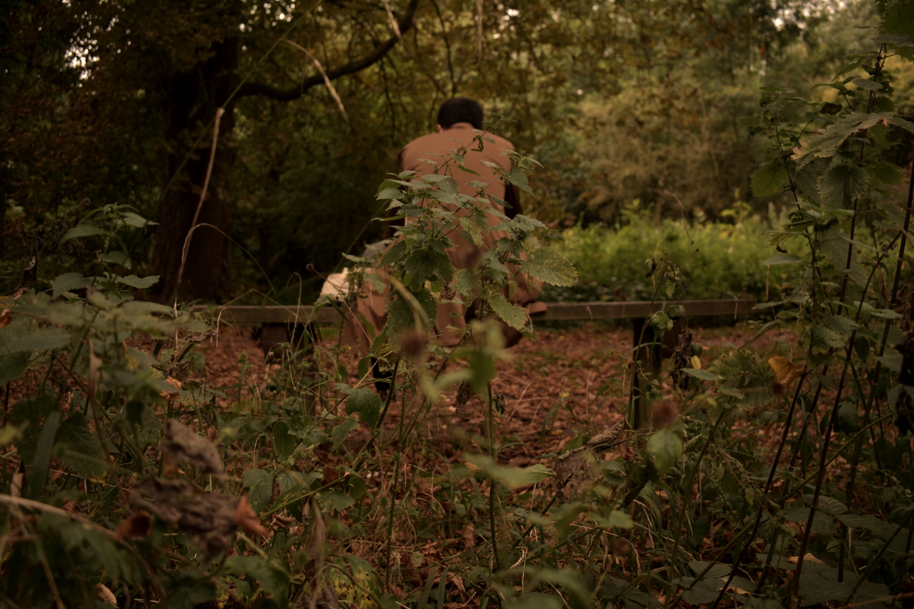 the photo of Ruben sittinng in the forrest 