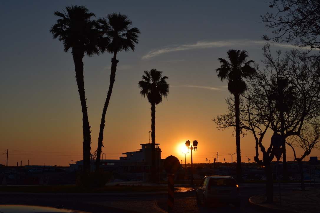 another palms in Spain